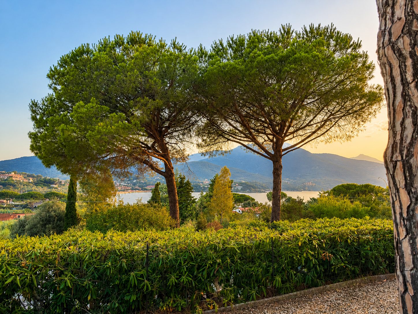 Palma — il giardino oltre la siepe