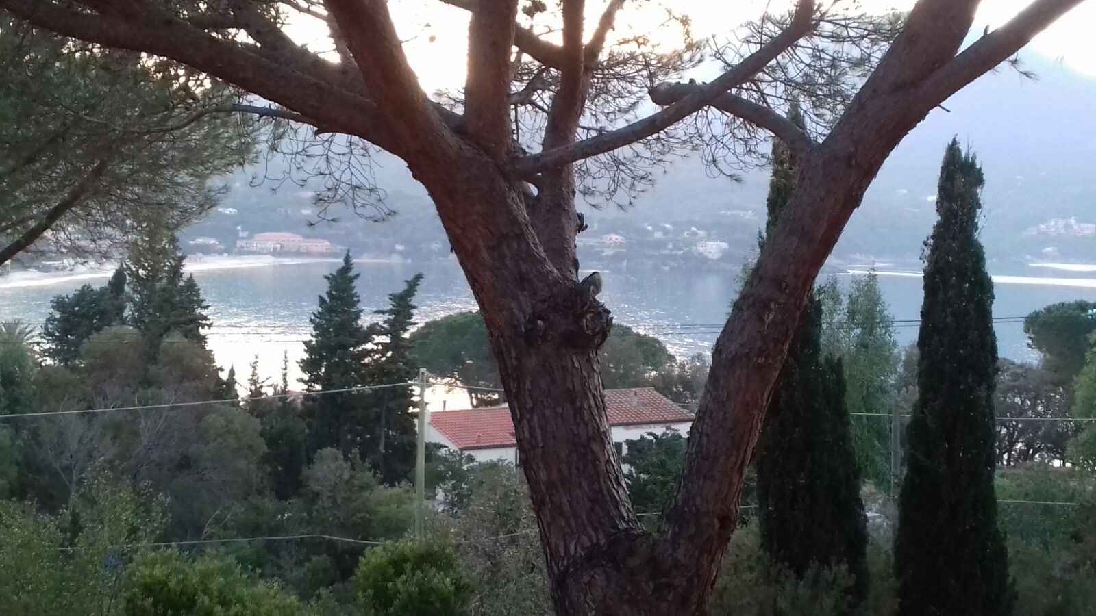 Palma — vista sul verde e sul mare