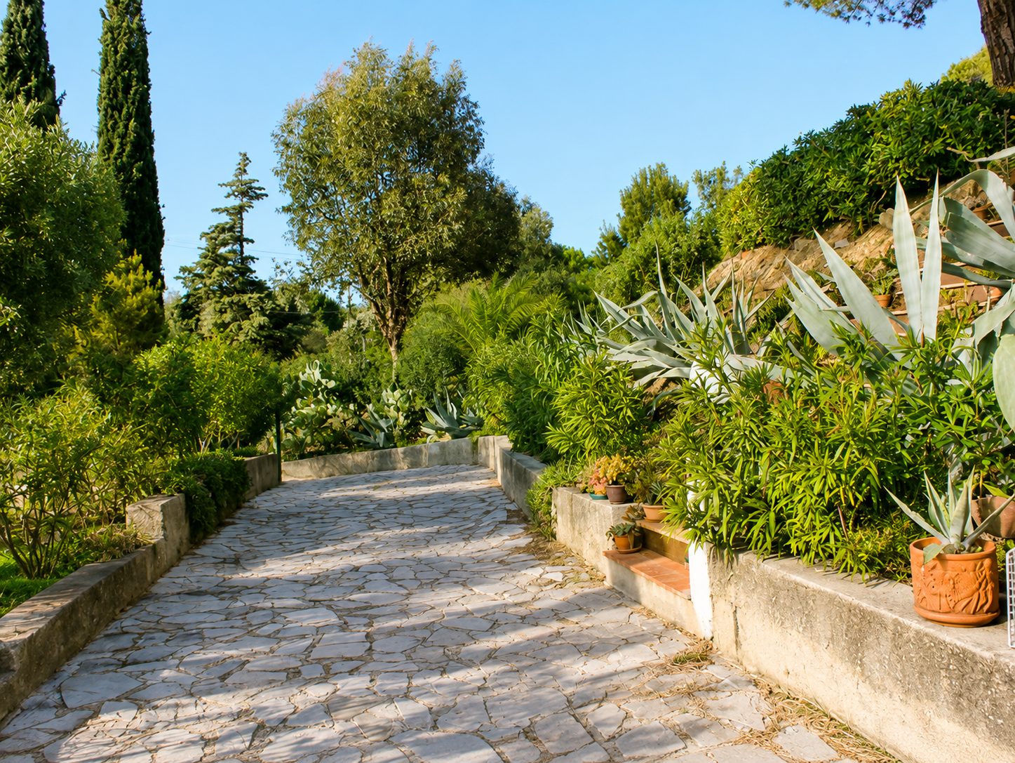 Palma — il vialetto d'ingresso