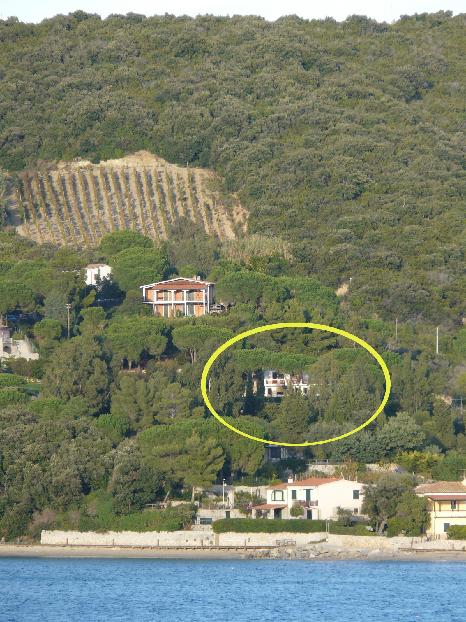 Palma — la struttura vista da lontano